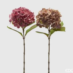 EDG 2 ass. rosa toner