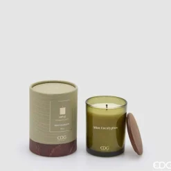 EDG Duftlys Mint Eucalyptus H10