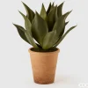 EDG Plante Agave Pianta m/Vase H61 Green