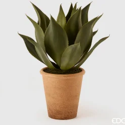 EDG Plante Agave Pianta m/Vase H61 Green