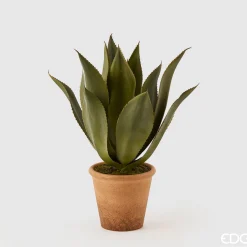 EDG Plante Agave Pianta m/Vase H51 Green