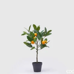 EDGMandarino Con Vaso H.48