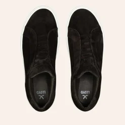 Lloyd Metro X-Motion Suede Dark Brown M