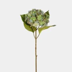 Mr. Plant Hortensia 40cm, Blå