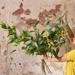 Mr. Plant Citronkvist 90cm