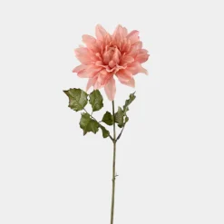 Mr. Plant Dahlia 45cm Pink