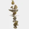 Mr. Plant Eucalyptus 40cm