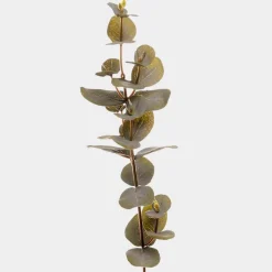 Mr. Plant Eucalyptus 40cm