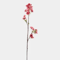 Mr. Plant Kirsebærblomst Rosa 60cm