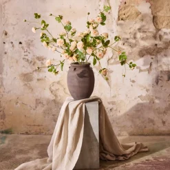 Mr. Plant Klatrerose 85cm