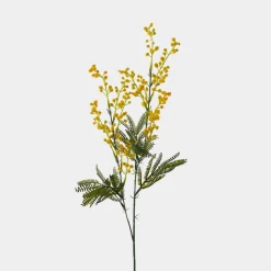 Mr. Plant Mimosa 75cm Gul