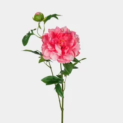 Mr. Plant Pion 65cm Pink