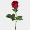 Mr. Plant Rose 50cm Rød