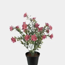 Mr. Plant Succulent 30 cm, Rosa