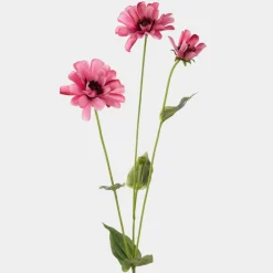 Mr. Plant Zinnia 65cm Pink