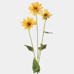 Mr. Plant Zinnia 65cm Yellow