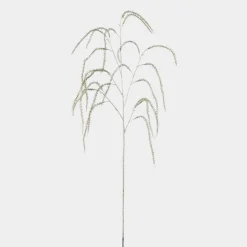 Mr.Plant Amarantus 95cm