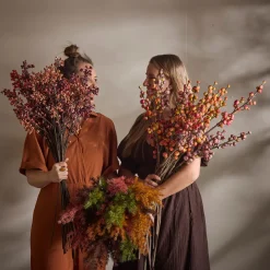 Mr.Plant Asparges 75cm