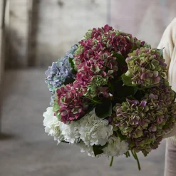 Mr.Plant Hortensia lilla 65cm