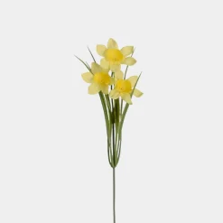 Mr.Plant Narciss (påskelilje)