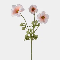 Mr.Plant ranunkel 54cm Aprikos