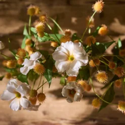 Mr.Plant Tistel 58cm