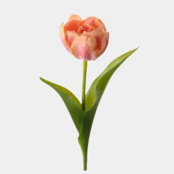 Mr.Plant Tulipan Rosa 36cm