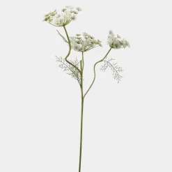 Mr.Plant Vildmorot 80cm