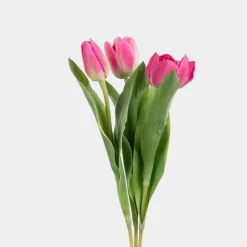 Tulipan mix Mørk Rosa 36cm