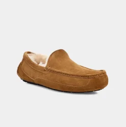 UGG Tøffel Ascot Chestnut M