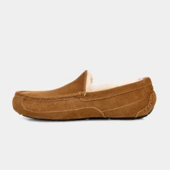 UGG Tøffel Ascot Chestnut M