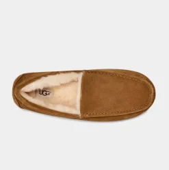 UGG Tøffel Ascot Chestnut M